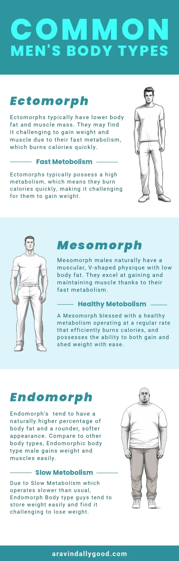 Men's Body Types